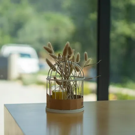 Casa De Barreiros Al Frühstückspension 3*